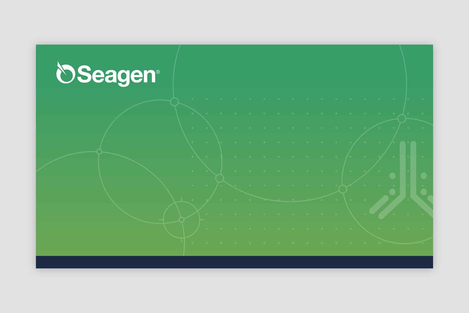 Seagen Zoom Screen Background